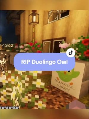 Fly high Mr owl guy 🕊️ (ft. @sugurr & @Touma Mori ) #fyp #Minecraft #minecraftmemes #viral #gaming #minecraftclips #minecraftsmp #moddedminecraft #minecraftjava #gamingclips #deadlyboop #boop #ogygiasmp #duolingo 