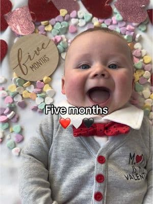 One year ago today, we announced we were expecting our second baby. Today, we have a FIVE month old. I love you, my squishy boy! #moms #boymama #twoundertwo #momtoboys #boymom #momtok #ValentinesDay #fivemonths #five #baby