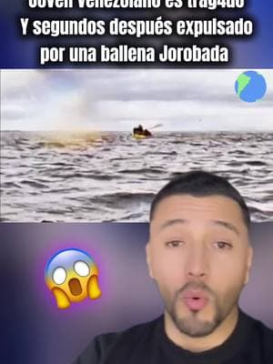 Un joven Venezolano fue tragado y segundos después expulsado por una ballena jorobada #datoscuriosos #datosinteresantes #curiosidad_misteriosa #miedo #terror #horror #ballenajorobada #animalesacuaticos #kayakista 