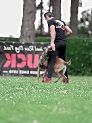 #tactical #k9 #DogTraining #dogsoftiktok #hundetraining #hundevideos #DogTraining #malinois #fyp #k9 