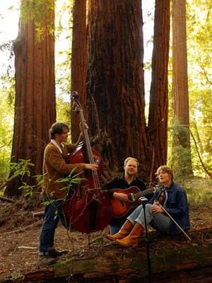 Here’s a little love song for your Valentine’s Day❤️ “I Will Follow You to Willow” available everywhere February 28th! #thewildwoods #folkmusic #folkband #folktrio #harmonies #redwoods #redwoodsnationalpark #uprightbass #fiddle #california 