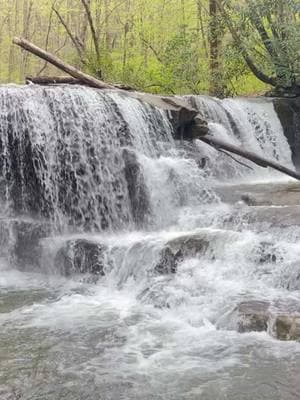 Jonathan Run Falls a beautiful and scenic waterfall located in Ohiopyle State Park in Pennsylvania #ohiopylestatepark  #ohiopyle  #pennsylvaniacheck #pennsylvania #paparks 