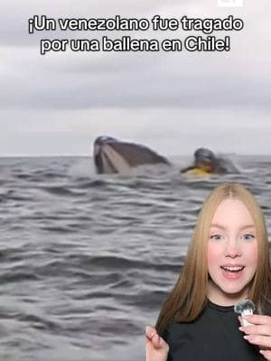 #venezolano #ballena #chile #kayak #noticias #noticiastiktok 