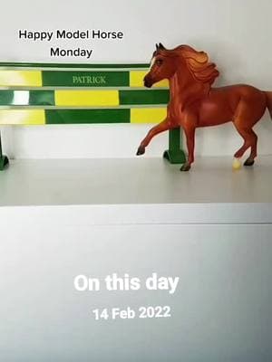 #onthisday @Sarah & Patrick The Mini Horse #breyer #breyerhorses #breyerhorse #breyertok #modelhorse #toycollector 