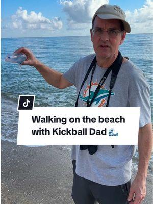 Birding on the beach with Kickball Dad featuring some other creatures 🌊 #dad #beach #nature 