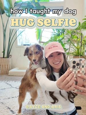 How to teach your dog to hug selfie! 🐶📸   Step 1. Grab your pup, a training pouch & some high reward treats!  Step 2. Throw a treat behind you, and quickly use another treat to lure your dog to place their paws on your shoulder.  Step 3. Increase the duration of the “hug” position by waiting a few seconds before rewarding. You can hold a treat up to teach your dog to look up.   Step 4. Grab a phone and take a selfie! You might still need to hold a treat up next to your phone to encourage your dog to look!  Tag and share to someone you think should learn this ❤️ Follow us for more training tips and videos! Dog mom hat from BYOP | code AYCEARIA15 Mini training pouch from @voilapets | code AYCEANDARIA Phone case @Walli Cases | code AYCEANDARIA Treats @Open Farm Pet | code AYCEANDARIA . . . #DogTraining #DogSelfie #DogTutorial #DogHug #SmartDog #australianshepherd