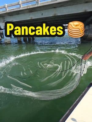 Loading down the Livewell with a breakfast pancake 🥞  They not like us! 👀 #fishing #castnet #fishingtiktoks #fishingforbeginners #fishingtips #catchingbait #saltwaterfishing #fishingcharter #tampabayfishing #fishingtampabay #tampabayfishingcharter #saltyscales #chriscanning 