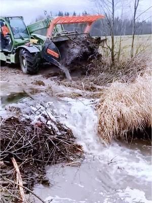 #unclog #unclogging #beaverdam #removal #mechanical #excavation #uncloggingdrains #drainplug #poop #pipes #satisfying #oddlysatisfying #asmr #fyp #fypage #viralvideo #foryou 