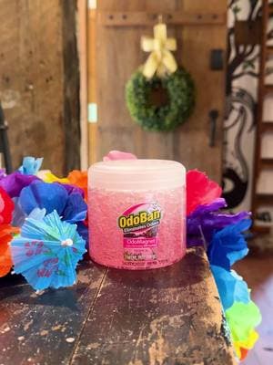 Your very own tropical paradise! 🌺🌴🦩OdoBan® OdoMagnet®s freshen your favorite spaces, continuously trapping airborne odors. Available in Tropical, Fresh Air, Lavender & Night Ice scents! #tropical #tropicalparadise #airfreshener #odoreliminator #odorremover #litterbox #bathroom #closet #cleaninghacks #cleaning #cleaningproducts #cleaningmotivation #cleaningtips #odoban #makelifefresh