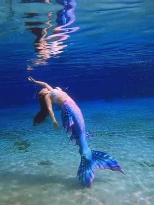 reflection 💕 #mermaid #mermaidtail #mermaids #mermaidhair #mermaidtiktok #floridssprings #mermaidhair #beneaththesurface #reflection #florida #underwatervideo #underwaterworld #swim #onthisday 