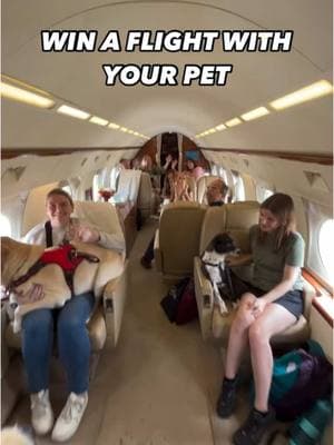 WIN A FLIGHT ON A PRIVATE JET WITH YOUR PET. 🐱🐶 CHECK OUT OUR IG FOR INFO ON HOW TO ENTER  #dogsoftiktok #pettravel #dogtravel #cattravel #relocate #moving #travel #privatejet #fly #airport #airline #giveaway 