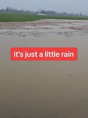 its nowhere close to being over #flood #floodwater #cows #rain #tennessee #westtn #fyp 