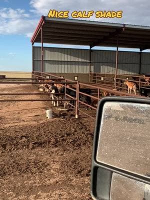 #jhwelding #feedlot #cattle #usacattle #dairyfarmer #concretelife #mexicantiktok 