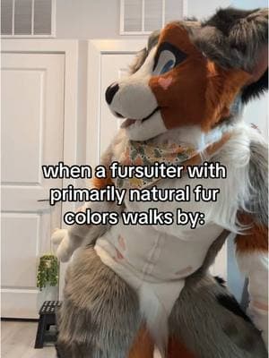 bonus points if they have a splash/accent of color (twenty thousand points if its my bf)  #furryfandom #furry #fyp #ftpシ #furrytiktok #furries #sheenitude #fursuit #fursuiting #fursuiter 