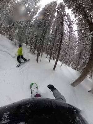 Pow day fs #matthewscriv #snowboarding #denvercolorado #denver 