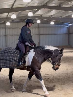 Finally just got over being sick. It was so so so nice to ride my pony! Our flatwork has made some progress too! 💜 #greenscreen #fyp #fypシ #fypシ゚viral🖤tiktok☆♡ #foryoupageofficiall #horsesfyp #horsesfyp❤️ #horse #foryoupage #equine #equinesports #eq #equestrian #horsesontiktok #horsejumping #horsejump #horsesoftiktok 