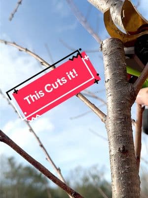 It’s Time! Make pruning a little easier and more enjoyable this year with this WorkPro Rechargeable Pruner. #garden #goalcrusher #orchard #greenthumb #tools #pruning #landscape #homestead #gardenlife #chickens #eggs 