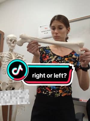 #anatomy #LearnOnTikTok #learnfromme #lesson #anatomyandphysiology #studywithme #studyhacks #stemeducation #learning #quiztime #learningontiktok #studytip #teachertok #stemeducator #teacherlife #teachersoftiktok 