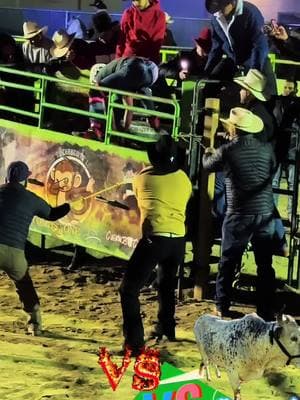 5 montas en un solo video #jaripeo #jaripeosbailes #jaripeobaile #@adrian #guachemeco2 #jaripeos #jaripeo_ranchero #jaripeooutfits #jaripeoextremo #jaripeomexicano #bullrider #jaripeoranchero #jaripeoprofesional #jinetes #bullriders 