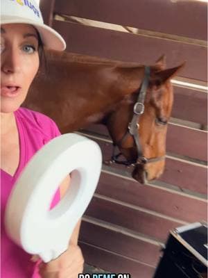 Watch until the end to see the results. #pemf #hives #allergyrelief #horses 