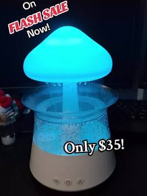 #raincloudhumidifier #humidifier #rain #mist #dailylifeus #product #fyp #foryoupage #clickthelink #getyouone #getyouoneofthese #getyours #getyoursnow #TikTokShop #tiktokmademebuyit #tiktokfinds #rainhumidifier #rainhumidifiers #colorchanging 