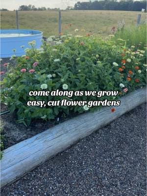 Replying to @brigetteburrrealtor growing easy, cut flower gardens - one step at a time! Who’s in?! 🌼 #ruralgalgardenclub #cutflowers #flowergarden 