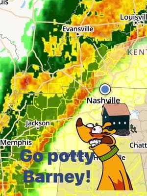 #tnweather #rainyday #daushundsoftiktok #smalldogsoftiktok #dogshaterain #hatestherain 