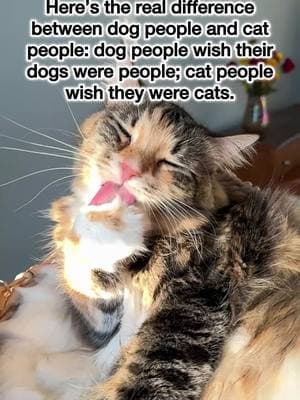 😺 #catpeople #dogpeople #catlife #bestlife #funnycatvideos #mikaandmocha 