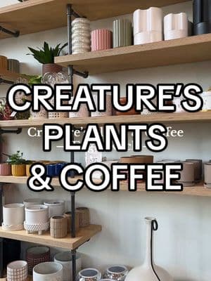 We love a space that can be versatile like this one - coffee shop, plant store, hang out space all in one #creaturesplantsandcoffee #eaglerock #coffeeshopla #lacoffeeshop #laplantstore #plantshop #lacoffee #losangelescoffeeshop  @Katie | @katieyowyow 