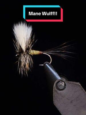 Do you prefer this look or the blue background?  Mane Wulff  Hook: @AhrexHooks FW561 size 14 Thread: Magpie Materials 72D  Tail: Natures Spirit moose hock Wing: Calf Body Body: Natures Spirit moose mane Hackle: Magpie Materials Riseform  Resin: UV Craft  Tools: TheFlySmith  #TheFlySmith  #flytying #magpiematerials #magpieturkeybiots #magpiefinebeaverdubbing #whitingfarms #naturesspiritflytying #lidrig #fly #flytyingjunkie #flytyingtutorial #flytyingaddict #flytok #satisfying #flytyingnation #fyp #harelinedubbin  #fishing #flyfishing #pescamosca #Upavon #fullingmill #bespoke