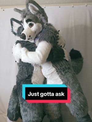 Sometimes all you gotta do is ask @Coast Husky #furry4life #keepmovingforward #itsgoingtobeokay #improudofyou #furrypride #fursuiter #furry #goodvibes #furryfandom #furrytiktok #smile 