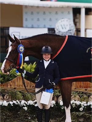 Mirage & Sundown were champion & reserve WCHR Week in the 3’3 Jr 15u out of 45 horses👏🏻🔥 so so proud🥰 @kenzie.smith78 @Evelyn Szczepanek📸🐴 #wef #wellington #florida #horseshow #equestrian #horses #foryou #horsebackriding #fyp #fy #foryoupage #viral #horse #hunter #ushja #winner #champion #wchr 