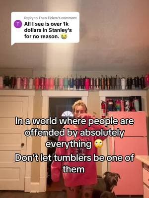 Replying to @Theo Elders  So legit question why do you folks care how someone else spends their money? Weird . This is why everyone’s so miserable . Focus on yourself . #tumblersoftiktok #tumblers #tumblergirls #offended #tumblercollection 