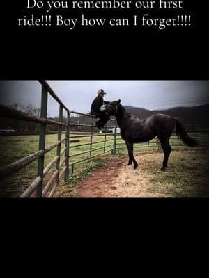 How time flies around good horses #stallion #traininghorses #coltstarting #firstride #barrelhorses #fightforit #rodeotok #equestrianlife #rodeohorses #fyp #foryoupage #barrelbitch #1rookie #royalquickdash #hezafastman #gyrojet #kwhezaroyalrenegade  #rememberthetime 