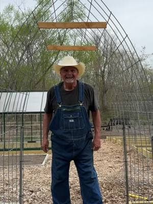 A-Frame or Gothic Window Trellis made from a Cattle Panel #trellis #cattlepaneltrellis #garden 