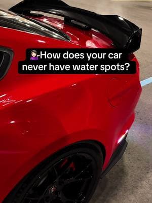 Flash sale and free shipping and you can dry your whole car with one towel. W🔥 #mustanggt #fyp #carpeople #v8power #virallilll #mustang #v8 #quotes #cars #cartok #fy #10speedmustang #viral #virall #mustanggt350 #paratiiiiiiiiiiiiiiiiiiiiiiiiiiiiiii #blacklinecarcare #cardetailing 