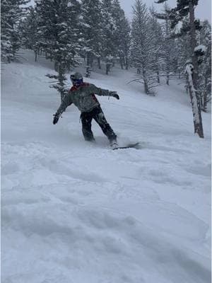 Fall damage turned off #bridgerbowl #montana #snowboarding #tamedog @Joe Stumpf @Ethan_cushing @Conbomb22 