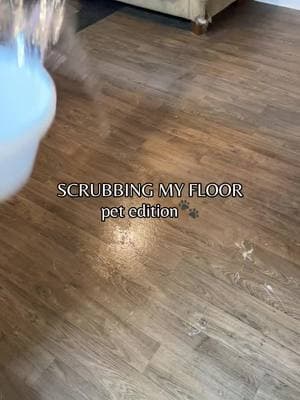 Dining room floor scrub🐾🫧 #satisfyingcleaning #realistic #realisticcleaning #satisfyingcleans #CleanTok #cleanwithme #cleaning #cleaningtiktok #cleanfreshhype #cleaningmotivaton #cleantiktok #clean #asmrclean #sahmsoftiktok #greatdanesoftiktok #mopping 