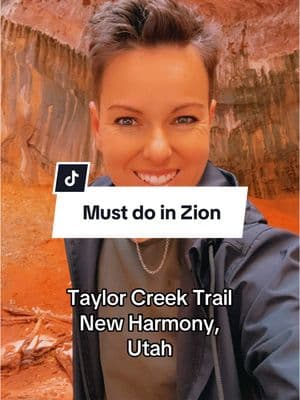 I highly recommend this trail!  #ironwolfproject #hikingutah #utahhikingtrails #utahisrad #hikinginutah #utahadventure #beautahful #utahcheck #beautahful #utahcheck🧚🏼‍♂️ #hikingzion