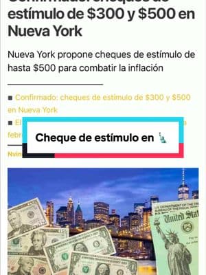 #newyork #usa #nyc #chequesdeestimulo #spserviciosconsulares 