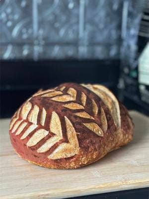 What happened to my pink loaf?! Haha next time I’ll use dragon fruit powder instead of beet powder 💌  #sourdough #sourdoughbread #sourdoughtok #AlaskaLab #fermentation #bulkfermentation #sourdoughscoring 