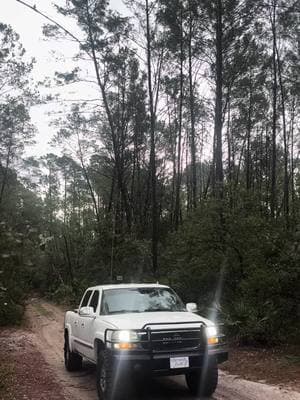 #doghuntercheck #countrysideoftiktok #gmt800 #bubbatruck🌾 