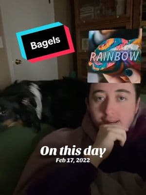 #onthisday Throwback to when the random bagel generator failed me… 🥯😩 I was hoping for an everything bagel, but fate had other plans. Even my dog wasn’t having it. 😂🐶 What’s your go-to bagel order? #T#ThrowbackB#BagelLifeF#FoodieFailsB#BreakfastTokE#EverythingBagelB#BagelLoverR#RandomizerFailS#SesameBagelD#DogHumorP#PetReactionsF#FoodieMomentM#MorningsMadeBetterS#SnackTimeU#UnexpectedComedyF#FoodTokB#BreakfastClubD#DogsOfTikTokF#FoodieFindsR#RelatableMomentsBagelTime