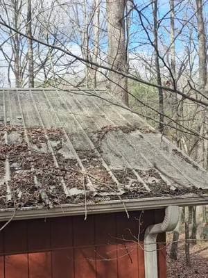 Metal roof cleaning in Asheville.  Watch the mold dissappear. #pressurewashing #metalroofcleaning #asheville #waynesvillenc  #nc #amsr #wncpressurewashing  #softwashing #roofcleaning 