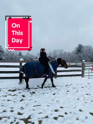 #onthisday #oldschool #old #oldiesbutgoodies #bestboy #ottsb #ottsboftiktok #bay #snowpony #wildlife #wild #nosaddleriding #noproblem #equestrian #equestrianlife #justagirl #happysnowday 