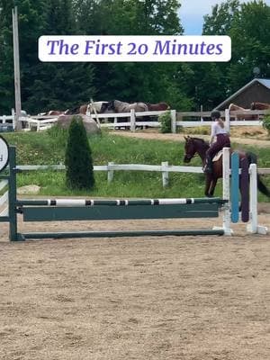 Redefining “warmup”… Of course everyone should give their horse the time needed to stretch out and get their muscles moving before going into heavy work. However, many people think their horses need a lengthy period before they’re comfortable going in a proper, engaged frame or able to shake out the stiffness. If it takes a long time just to warmup, this is a sign that something isn’t right. A sound horse should be able to access their full range of motion at a moment’s notice. Did you know it takes 20 minutes for a horse to numb through the shoulder? 20 minutes of discomfort from an ill-fitting saddle, followed by more “relaxed” work is really just a blocking of the body’s signals. Listen to your horse in the period before they go numb. Prevent discomfort, injury, and long term damage. Horses speak to us, we just have to listen.  #schleese #saddlefit #equestrian #horses #equinewelfare #riding #saddles #education #learn 