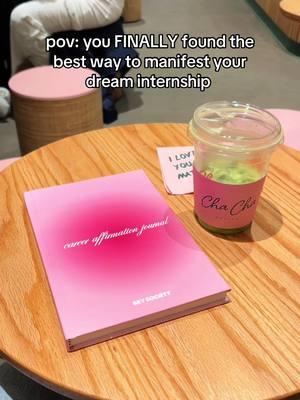 @Sky Society 💞 I wish I had this when I was applying for internships!! you can find the journal on amazon  #internship #internshipsearch #nycintern #newyorkintern #marketingintern #intern #manifestation #manifestationjournal #marketinggirlies 