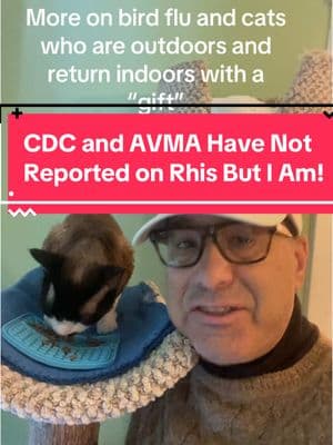 AVMA and CDC have not reported on this - I am reporting on this! #groucho #devonrex #catsoftiktok #catbehavior #birdflu #hpai #catsandbirdflu #indooroutdoorcat #stevedale #stevedalepettips 