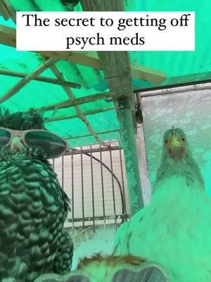 🚨 Millions Trapped on Psych Meds 😱💊 🚨 Most people don’t need psych meds for life—they need to heal the root causes of their symptoms. But Big Pharma won’t tell you that. After 8+ years as a board-certified psychiatrist, I’ve helped countless people safely come off psych meds using a holistic, root-cause approach 🌿✨ Here’s what it takes: ✔️ Ditching Toxicity 🚫🍔🍷— Toxic food, substances, and relationships keep you stuck. ✔️ Healing Trauma 💔➡️💖— Emotional wounds (even generational ones) create the “disorders” that run in families. ✔️ Exiting the Matrix 🔥🧠— Unlearning false beliefs & discovering your own truth. ✔️ Rebuilding Your Nervous System ⚡— So you can feel safe, grounded, and FREE without meds. ✔️ Balancing Your Mind, Body & Spirit 🧘‍♂️💡— Because healing is so much more than just the mind. My team helps people do ALL of this and more—so they can safely break free from psych meds for GOOD. If you’re struggling, book a free discovery call today by clicking the link in our bio! ⬆️✨ #PsychMedFree #RootCauseHealing #HolisticPsychiatry #HealTrauma #BreakTheCycle #MentalHealthRevolution #holisticpsychiatry #holisticpaychiatrist #ssrians #psychmedwithdrawal #brainzaps #ssriwithdrawal 