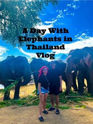 Would you try this? 🐘❤️ #elephantsanctuary #elephantsworld #kanchanburi #thailand #whitneylynn #couplegoals #travelthailand @elephants world 